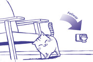 feliway in